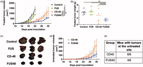 Figure 2. Local FUS therapy and in situ anti-CD-40 agonistic antibody suppressed the tumor growth of local and distant untreated site in B16F10 melanoma model. (a) Mean volumes of the treated tumors are shown till 30 days. Control and FUS reached sacrifice end points by day 21. CD-40 and FUS40 significantly decreased tumor volumes compared to FUS and untreated tumors; (b) Tumor weights at the time of sacrifice showed a significant reduction in the overall weight for FUS40 compared to other groups. (c) Representative images of the treated tumor. (d) Mean volumes of the distant untreated tumors are shown till 30 days. (e) Number of mice that were tumor free at the distant untreated site. Results are shown as mean ± SEM. One-way ANOVA followed by Fisher’s LSD without multiple comparisons correction. *p < .05, **p < .01.