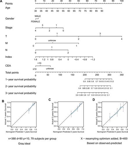 Figure 7 Construction of nomogram. (A) Nomogram predicting OS of patients. (B–D) The calibration plot of the nomogram at 1-year, 3-year and 5-year.