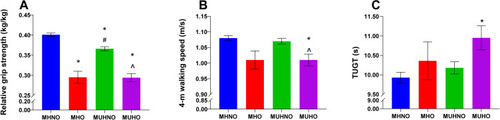 Figure 1 (A) Mean relative grip strength (kg/kg), (B) Mean 4-m walking speed (m/s), (C) Mean TUGT (s). Statistical analysis was performed using ANCOVA. P-values represent the result of Bonferroni corrections after adjusting for age, sex, educational level, marital status, living situation, drinking, smoking, occupation, International Physical Activity Questionnaire (IPAQ), the number of chronic medical conditions. *P < 0.05 versus MHNO; #P < 0.05 versus MHO; ^P < 0.05 versus MUHNO.