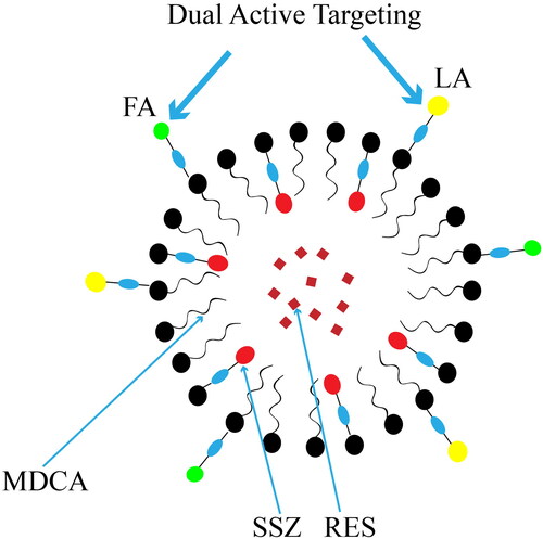 Figure 4. Structure of lactobionic/folate dual-targeted amphiphilic maltodextrin-based micelles for targeted delivery of sulfasalazine and resveratrol. Reprinted with permission from American Chemical Society (Anwar et al., 2018).