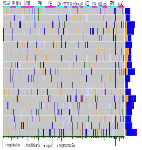 Figure 2 Next-generation sequencing (NGS) was performed on an individually synthesized panel containing 43 target gene regions in 19 validation patients. A total of 774 genomic variations could be matched to the crizotinib responses and were located within regions of DNA repair, mitochondrial apoptosis, and tumor angiogenesis target genes.
