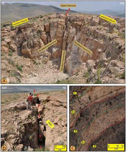 Figure 5. (a) Cross-sectional view of the EFR, showing banded travertines in the central fissure, and bedded travertines in the slope. (b) The central fissure of a ridge. (c) Bedded travertine of the EFR containing alternating colours and textures of travertine.