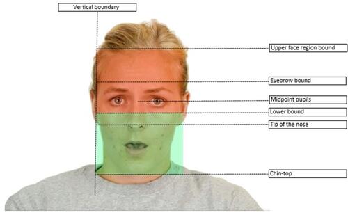 Figure 2 Facial locations used to define the areas of interest for analysis.