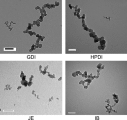 FIG. 1. Sample TEM images of aggregates with different primary particle sizes. All scale bars are 100 nm.