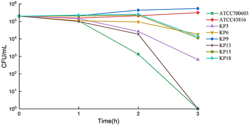 Figure 3 Serum killing assay of 6 selected isolates. ATCC43816 and ATCC700603 were hypervirulence and low virulence controls, respectively.