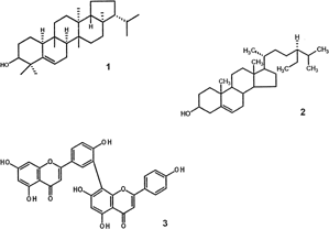 Scheme 1 Molecular structures of compounds isolated from H. alchorneoides. leaves.