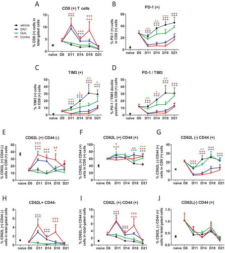 Figure 6. Effect of in vivo EMA treatment on CD8-positive T cells in the bone marrow.Mice were treated from day 7 onwards with DAC (0.2 mg/kg daily intraperitoneally). Starting at day 9, mice received Quis (1.5 mg/kg, every other day subcutaneously). At indicated timepoints, mice were euthanized and BM was isolated from the hind legs for FACS analysis. First, debris was excluded using FSC/SSC. Next, cells were selected based on negative staining for near-IR Live/Dead, CD11b, Nk1.1 and B220 (represents total gated cells). Next, TCRb(+)/CD8(+) cells were selected.A: Percentage of TCRb(+)/CD8(+) T cells in the BM of treated mice.B-D: Percentages of PD-1(+) (B), TIM3(+) (C) and PD-1/TIM3 double positive cells (D) within CD8(+) cells of treated mice.E-G: Percentages of CD62L(+)/CD44(-) (E), CD62L(+)/CD44(+) (F) and CD62L(-)/CD44(+) cells (G) within CD8(+) T cells. H-J: Percentages of CD62L(+)/CD44(-) (H), CD62L(+)/CD44(+) (I) and CD62L(-)/CD44(+) cells (J) within total gated cells. Dots and error bars represent mean and standard deviation (n = 3 for naive, n = 5–8 per group). Statistics were done using One-Way-Anova. *, ** and *** indicates p < 0.05, p < 0.001 and p < 0.0001, respectively compared to control condition. †, †† and ††† indicates p < 0.05, p < 0.001 and p < 0.0001 compared to respective single agent treatments. (DAC = decitabine, Quis = Quisinostat).