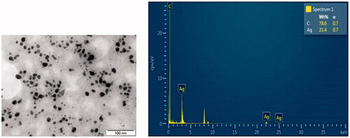 Figure 3. Transmission electron microscopic (TEM) and EDX analysis of synthesized AgNPs.