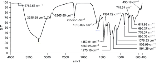 Figure 1. FT-IR spectrum of isolated compound which corresponds with molecular structure of cyanidin.