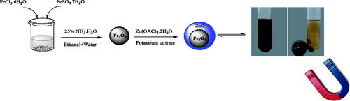 Scheme 2. Synthesis process of Fe3O4@ZnO nanoparticles.