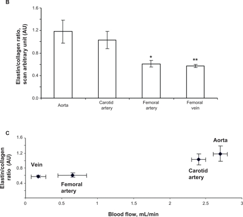 Figure 3 B Elastin:collagen ratio. C) Blood flow in relation to elastin:collagen ratio. Data show the femoral artery and vein has a low elastin:collagen ratio when compared with the other blood vessels, and the elastin:collagen ratio increases with increase in blood flow.