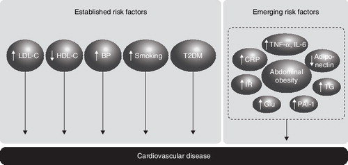 Figure 1. Established and emerging cardiometabolic risk factors.