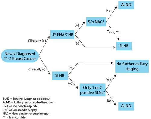 Figure 1 Overview of current algorithms for axillary staging in early stage breast cancer. SLNB is recommended for patients with a clinically negative axilla. If ≥ 3 sentinel nodes are positive, completion ALND is recommended. No further intervention is indicated for ≤ 2 sentinel nodes are positive. US guided FNA/CNB is recommended for patients with a clinically positive axilla. If FNA/CNB is positive, ALND is indicated. If FNA/CNB is negative, SLNB ± ALND is recommended. For patients with a positive FNA/CNB who undergo NAC, SLNB may be considered depending on response to treatment.