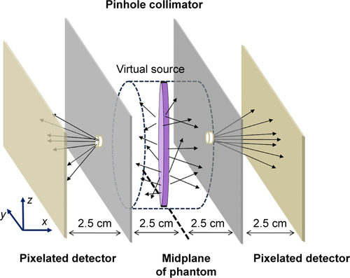 Figure S5 MC simulation model for sensitivity correction.Notes: The virtual disk source of 5 cm diameter and 5 mm width (purple) in the midplane of water phantom isotropically emits fluorescence-like photons. The arrows describe photons emitting from the virtual source. The photons originating from the center of the source are detected more efficiently than those from the periphery.Abbreviation: MC, Monte Carlo.