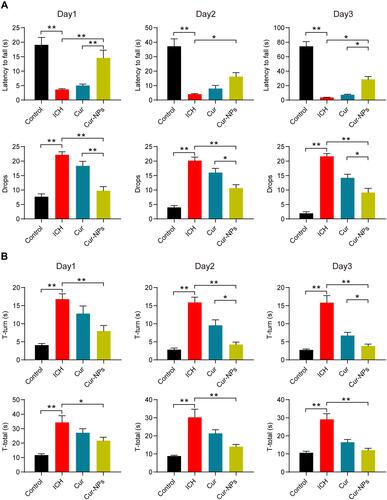 Figure 5 The impact of Cur-NPs on ICH-induced behavioral deficits. (A) Fall latency and numbers of drops in rotarod tests for mice in the indicated groups (means ± SD, n = 12). (B) T-turn and T-total times for pole tests of mice in the indicated groups (means ± SD, n = 12). *Indicates P < 0.05 and **Indicates P < 0.01.