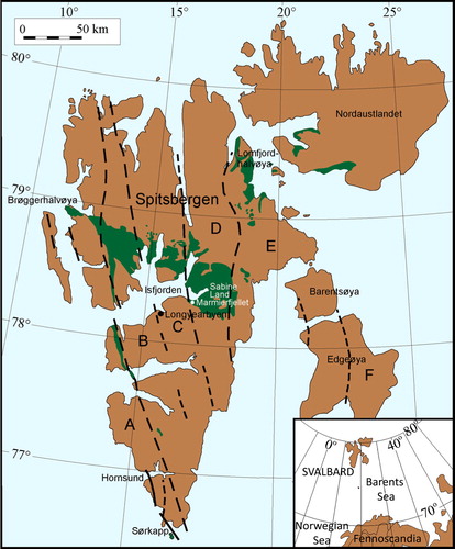 Fig. 1  Map of Svalbard with exposures of Carboniferous–Permian rocks in green. Structural elements: A: Sørkapp–Hornsund High; B: Central Trough (St. Johnsfjorden Trough); C: Nordfjorden High; D: Billefjorden Trough; E–F: Ny Friesland Trough. Major fault lineaments are also shown. Modified from Nakrem et al. (Citation1992).