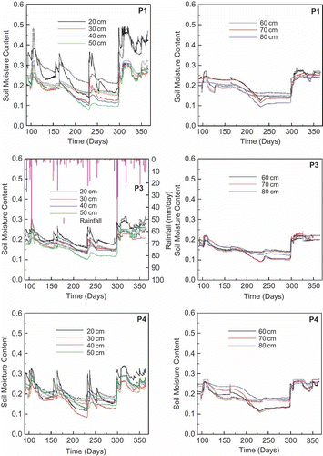 Fig. 5 Measured (solid line) and simulated (dashed line) soil moisture contents down the soil profile.