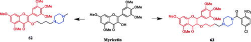 Figure 31. Chemical structures of myricetin and its derivatives.