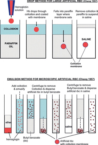 Figure 1 Original 1957 method of preparing artificial cells (for details see [Citation[1], Citation[5]]). Upper: drop method for preparing large artificial cells. Principle later extended for use in bioencapsulation of cells, stem cells, genetic engineered cells. Lower: emulsion phase separation method for preparing microscopic artificial cells (unlike above, “collodion” prepared by removing most of alcohol and replaced with ether). Principle extended to preparation of microscopic artificial cells and drug delivery systems and nano-dimension artificial cells (figure from [Citation[5]] with copyright permission).