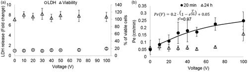 Figure 2. (A). Cell viability and EP as a function of the applied voltage. Viability is presented as % of viable cells and amount of EP indicated by LDH release normalized to control. It can be seen that there was no change in viability for all applied voltages. Increased LDH release occurring due to EP can be seen only at 100 V (*p < .0001). Data is shown as mean ± SD relative to control. (B) Pe coefficients for different treatment voltages (20 min and 24 h post PEFs application) and the fitted exponential curve for the 20 min permeability coefficients.