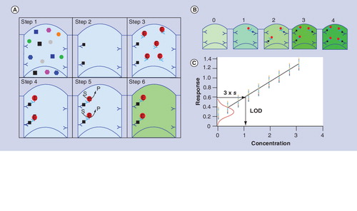 Figure 2. ELISA: the gold standard for protein detection.(A) Key steps in a sandwich ELISA (see text for explanation). (B) The amount of enzyme product is proportional to the amount of bound target substance, which in turn is proportional to the amount of target substance in the original sample. (C) A calibration graph can be constructed based on the response (the amount of detectable product) of a series of calibrator solutions containing known concentrations of the target substance. The red Gaussian curve is based on the standard deviation (s) of the zero calibrator. The LOD can be determined by horizontal projection of a line at 3 × s of the zero calibrator until it intersects the response line, followed by vertical projection of the intersection point down onto the x-axis. In this example the LOD is 1.16.E: Enzyme label; LOD: Limit of detection; P: Product of enzyme-catalyzed reaction; S: Enzyme substrate.