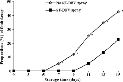 Figure 1 Effect of SF-BFV spray on the proportion (%) of fruit decay during storage for 15 days at 4 °C. SF-BFV, strawberry-flavoured baby corn fermented vinegar; No SF-BFV spray, unsprayed controls. Bars with asterisks* are significantly different (P ≤ 0.05).