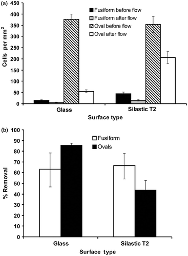 Fig. 1. (a) Cell density of Phaeodactylum tricornutum adhered to acid-washed glass or Silastic T2, before and after exposure to a shear stress of 15 Pa generated in a flow channel. (b) Mean percentage removal of fusiform or oval cells from the two surfaces after exposure to flow. Error bars are 95% confidence limits from arcsine-transformed data.