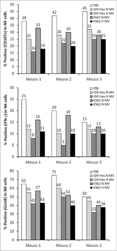 Figure 8. The effect of tumor derived microvesicles (MVs) on the function of natural killer (NK) cells in vivo. Mice were injected intradermally every day for 7 d with phosphate buffered saline (PBS) or with 50 μg of normoxic (N) or hypoxic (H) MVs in PBS derived from IGR Heu or K562 tumor cells. NK cells were sorted from draining lymph nodes by cd49b antibody coated beads and co-cultured with Renca cells. After separation from their target, the expression of CD107a (upper), IFNγ (Middle), and GzmB (lower) was assessed by FACS analysis.