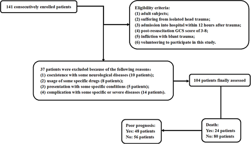 Figure 1 Flowing-chart showing selection of eligible patients. After screening 141 patients, 37 patients were removed from this study and finally 104 patients were further analyzed.
