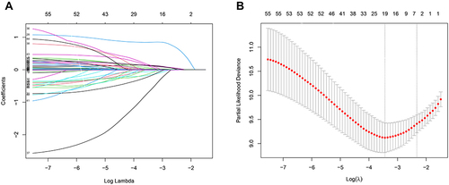 Figure 2 Selection of variables for all-cause mortality was performed using the LASSO regression plot with COX regression model. (A) LASSO model coefficient trendlines of the 57 variables (shown in Table S1) for all-cause mortality. (B) Tuning parameter (Lambda, λ) selection cross-validation error curve. Vertical lines were drawn at the optimal values given by the minimum criteria and 1-SE criteria. The right line was identified by 1-SE criteria (λ = 0.038). The parameter λ = 0.038 was selected under the 1-SE criteria. The vertical line was drawn at the value selected by 10-fold cross-validation, including optimized six non-zero coefficients proceed with further COX regression analysis.