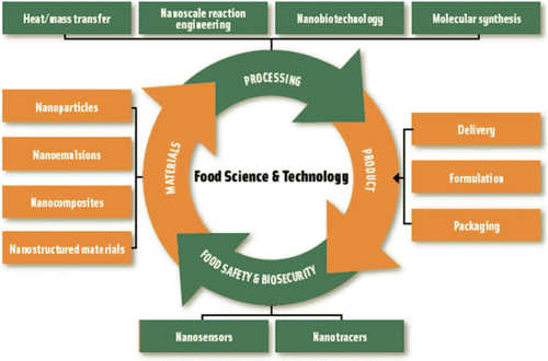 Figure 1 Nanotechnology applications in food science and technology.