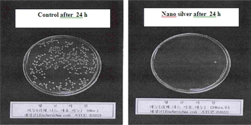 Figure 3 Antibacterial effect (Escherichia coli) of silver nanoparticles and silver particles (control) over 24 hours.