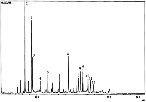 Figure 9. Gas chromatography spectrum of HEX extract of S. rhombifolia.