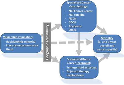 Figure 3. Conceptual model of socio-demographic effects on access, utilization and outcomes of breast cancer care.