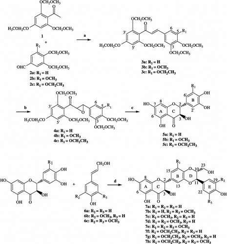 Figure 2 Synthetic route for the preparation of compounds 5 and 7. Conditions and reagents a: KOH, MeOH, r.t. b: 2 N NaOH, H2O2, MeOH, r.t. c: HCl, MeOH, 55°C d: Ag2CO3, dry benzene–acetone, 60°C.