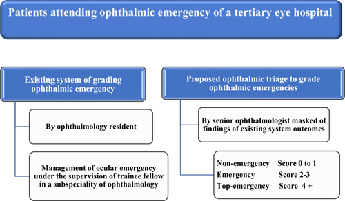 Figure 1 Flow chart showing the existing system for patients with ocular emergencies and the proposed ophthalmic triage implementation.