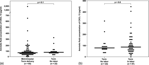 Figure 2. (a) Amniotic fluid concentration of CXCL13 in the midtrimester and in women at term without labor. There was no difference between the median amniotic fluid concentration of CXCL13 in women in the midtrimester and those at term (median 63.7 pg/mL (IQR 42.9–94.9) vs. median 77.8 pg/mL (IQR 68.0–98.0), respectively; p = 0.1). (b) Amniotic fluid concentration of CXCL13 in spontaneous labor at term. There was no difference in the median amniotic fluid CXCL13 concentration between women at term not in labor and those in labor (median 77.8 pg/mL (IQR 68.0–98.0) vs. median 86.9 pg/mL (IQR 55.6–152.0), respectively; p = 0.8).