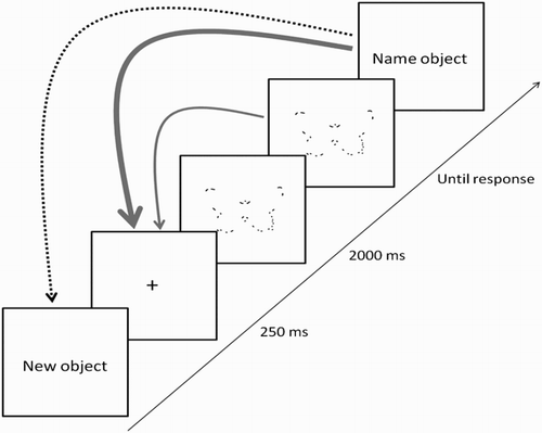 Figure 3. The dynamic build-up paradigm. Trials started with a 250 ms fixation cross, and were followed by a fragmented object outline presented for 2 s. When a negative response was registered, “I need more information” or “I don’t know what it is”, the build-up of the outline continued (thin full arrow). When a positive response was registered (i.e., object name) but the answer was incorrect, the build-up of the outline continued (thick full arrow). When a correct response was given, the build-up of the current object outline was aborted and the build-up of the next object started (dashed arrow).