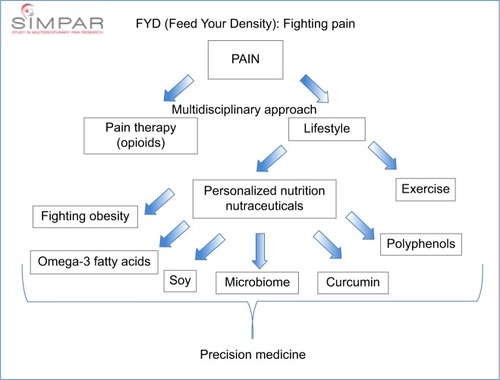 Figure 1 Scheme of summary of FYD workshop.