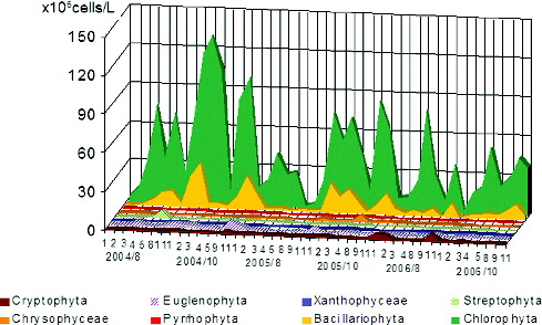 Figure 5. Dynamics of phytoplankton numbers of different taxonomic groups except Cyanoprakyorata in sampling sites in Vaya Lake by months of the studied years 2004–2006.