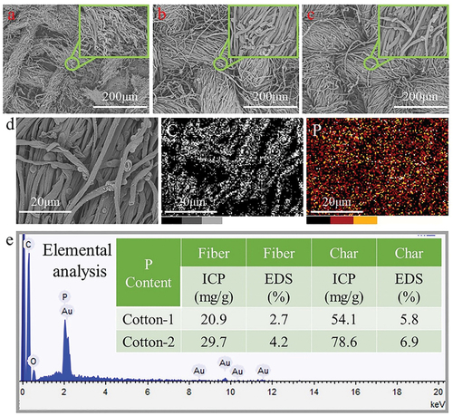 Figure 6. SEM micro-graphics and elemental analysis of the cotton char residues.