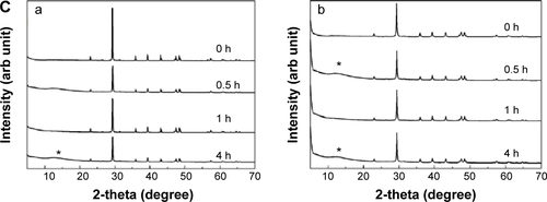 Figure S7 XRD patterns of B-Cal (a) and N-Cal (b) incubated ex vivo in fluids extracted from tissues: gastric fluid (A), intestinal fluid (B), and plasma (C).Note: Asterisks indicate the evolution of dicalcium phosphate dihydrate (JCPDS No 72-0714).Abbreviations: arb, arbitrary; B-Cal, bulk calcium carbonates; JCPDS, Joint Committee on Powder Diffraction Standards; N-Cal, nano calcium carbonates; XRD, X-ray diffraction; h, hours.