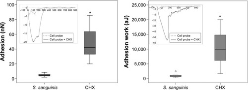 Figure 4 Effect of 2 mg/mL CHX on Streptococcus sanguinis–Ti interaction.Notes: Adhesion force and adhesion work values following the addition of 2 mg/mL CHX in TRIS buffer. Increased values for both parameters was observed (*P<0.05, Kruskal–Wallis). Insets are representative force-curves demonstrating the changes in unbinding behavior after CHX exposure. Box plot represents medians and bars represent minimum and maximum values.Abbreviations: CHX, chlorhexidine; Ti, titanium.