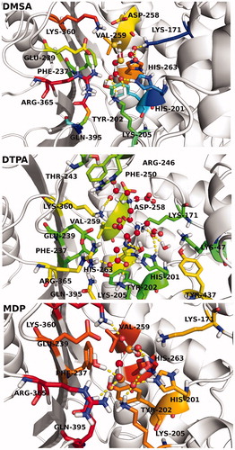 Figure 8. 3D ligand interaction diagrams of studied compounds.