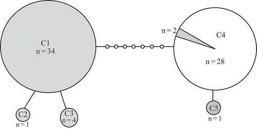 Fig. 2. Statistical parsimony network of Padina boryana partial cox3 gene sequences from the Thai-Malay Peninsula. n = number of samples. Lines indicate one base pair change. Filled circles indicate Gulf of Thailand lineage and open circles are the Andaman Sea lineage (the shaded segment is Gulf of Thailand samples assigned to the Andaman Sea lineage).