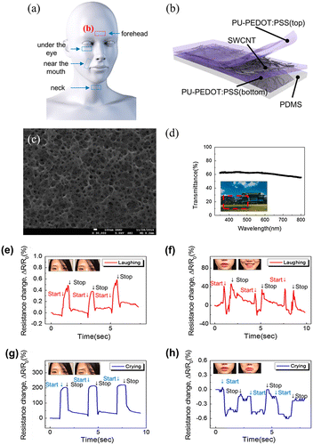 Figure 9. (a) Schematic illustration of stretchable transparent strain sensors. (b) Schematic illustration of the strain sensor. SWCNT stands for single-walled CNT, PDMS for polydimethylsiloxane and PU for polyurethane. (c) Top-view FE-SEM image and (d) transmittance spectra of the three-layer stacked sensor. Time-dependent responses of the sensor attached to the (e) forehead and (f) skin near the mouth when the subject was laughing and of the sensor attached on the (g) forehead and (h) skin near the mouth when the subject was crying. (Reprinted with permission from [Citation144], copyright 2015 American Chemical Society.)