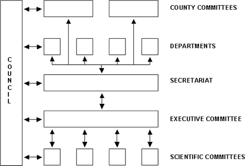 Figure 1.  Structure and organization of DBCG.