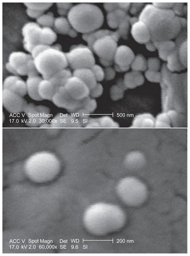 Figure 3 A typical scanning electron microphotograph of nanoparticles prepared by S/O/W ion pairing method, SOW10 (upper and lower image is presented at 30,000 and 60,000× magnification, respectively).