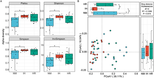 Figure 2 Impact of IH/R on gut microbial diversity at the species level. (A) α-diversity is depicted by box plots presenting Pielou, Shannon, Simpson, and Invsimpson indices. (B) Principal coordinate analysis (PCoA) was assessed using Bray-Curtis distances. Data were presented as mean ± SEM. Comparison among multiple groups was Kruskal-Wallis H-test. n=15 per group. *p<0.0167.