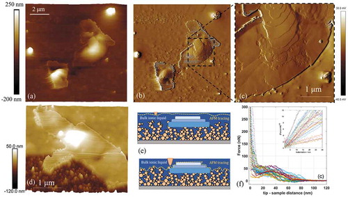 Figure 7. AFM morphological (a,d) and amplitude error (b,c) maps of a ns-SiOx surface after deposition of 5 μl of 0.5:1000 [Bmim][NTf2]/methanol solution onto the nanostructured surface. (e) Schematic representation of the scanning principle of AFM in the upper and lower part of figure (d). (f) Indentation curves acquired on the structured solid-like terrace of Figure (d). Partially adapted with permission from Ref [Citation87]